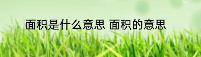 面积是什么意思 面积的意思