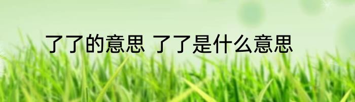 了了的意思 了了是什么意思