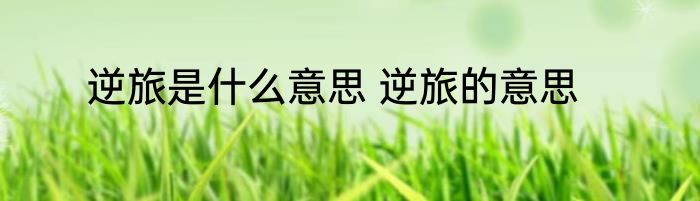 逆旅是什么意思 逆旅的意思