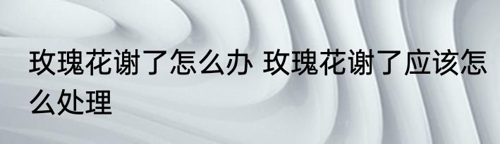 玫瑰花谢了怎么办 玫瑰花谢了应该怎么处理