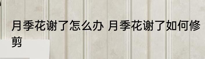 月季花谢了怎么办 月季花谢了如何修剪