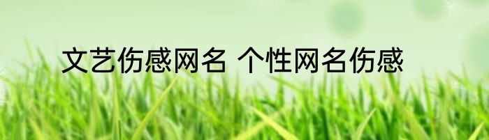文艺伤感网名 个性网名伤感