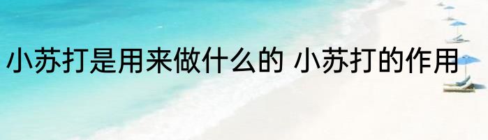 小苏打是用来做什么的 小苏打的作用