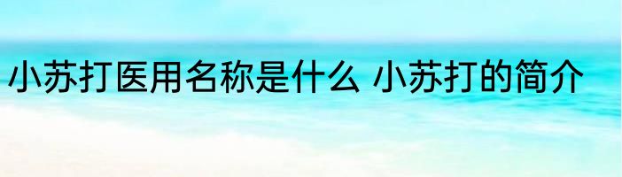 小苏打医用名称是什么 小苏打的简介