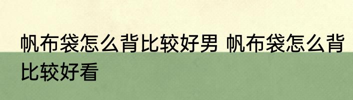帆布袋怎么背比较好男 帆布袋怎么背比较好看