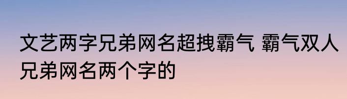 文艺两字兄弟网名超拽霸气 霸气双人兄弟网名两个字的