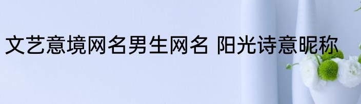 文艺意境网名男生网名 阳光诗意昵称