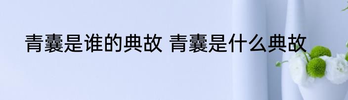 青囊是谁的典故 青囊是什么典故