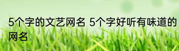 5个字的文艺网名 5个字好听有味道的网名