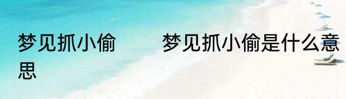 梦见抓小偷 　　梦见抓小偷是什么意思