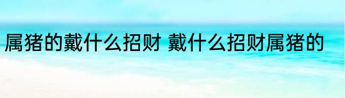 属猪的戴什么招财 戴什么招财属猪的