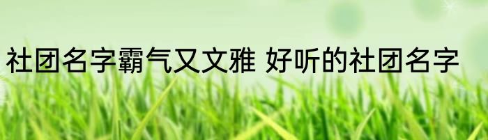 社团名字霸气又文雅 好听的社团名字