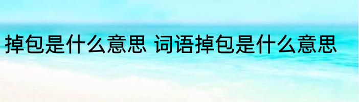 掉包是什么意思 词语掉包是什么意思