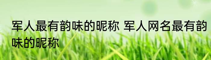 军人最有韵味的昵称 军人网名最有韵味的昵称