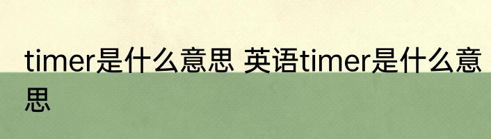 timer是什么意思 英语timer是什么意思