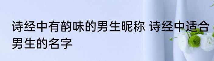 诗经中有韵味的男生昵称 诗经中适合男生的名字