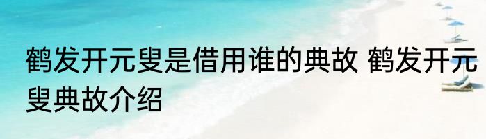 鹤发开元叟是借用谁的典故 鹤发开元叟典故介绍