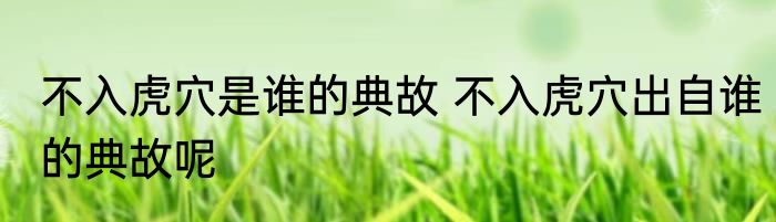 不入虎穴是谁的典故 不入虎穴出自谁的典故呢