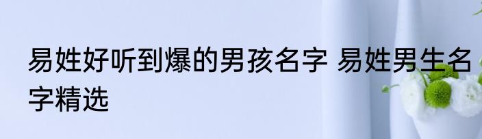 易姓好听到爆的男孩名字 易姓男生名字精选