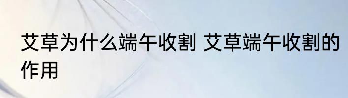 艾草为什么端午收割 艾草端午收割的作用