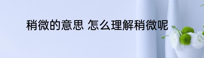 稍微的意思 怎么理解稍微呢