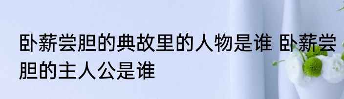 卧薪尝胆的典故里的人物是谁 卧薪尝胆的主人公是谁