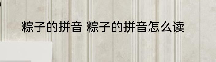 粽子的拼音 粽子的拼音怎么读