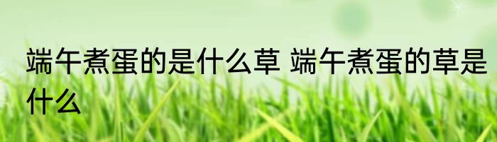 端午煮蛋的是什么草 端午煮蛋的草是什么