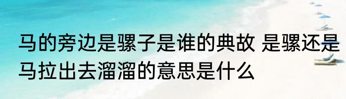 马的旁边是骡子是谁的典故 是骡还是马拉出去溜溜的意思是什么