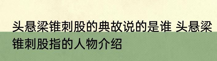 头悬梁锥刺股的典故说的是谁 头悬梁锥刺股指的人物介绍