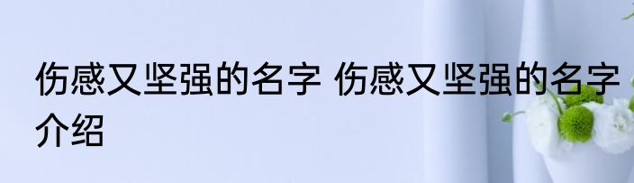 伤感又坚强的名字 伤感又坚强的名字介绍