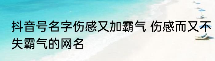 抖音号名字伤感又加霸气 伤感而又不失霸气的网名