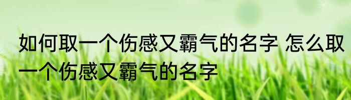 如何取一个伤感又霸气的名字 怎么取一个伤感又霸气的名字