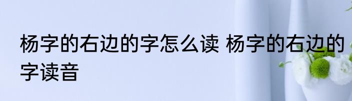 杨字的右边的字怎么读 杨字的右边的字读音