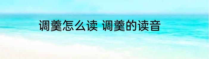调羹怎么读 调羹的读音