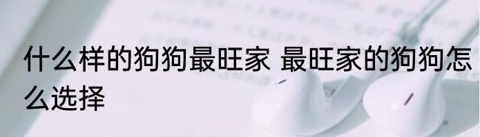 什么样的狗狗最旺家 最旺家的狗狗怎么选择