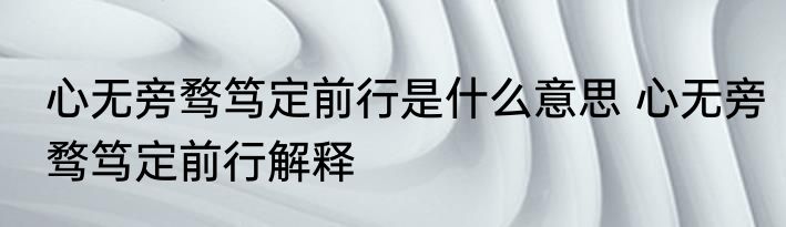 心无旁骛笃定前行是什么意思 心无旁骛笃定前行解释