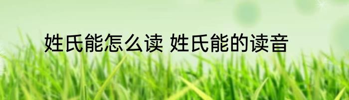 姓氏能怎么读 姓氏能的读音