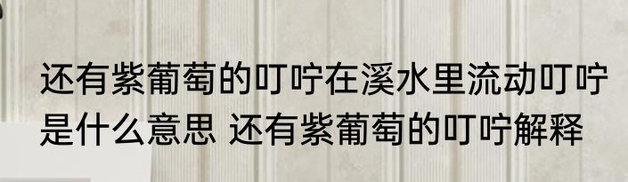 还有紫葡萄的叮咛在溪水里流动叮咛是什么意思 还有紫葡萄的叮咛解释