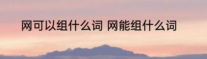 网可以组什么词 网能组什么词