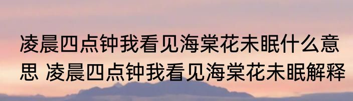 凌晨四点钟我看见海棠花未眠什么意思 凌晨四点钟我看见海棠花未眠解释