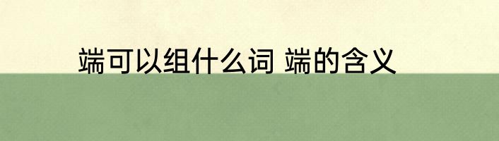 端可以组什么词 端的含义