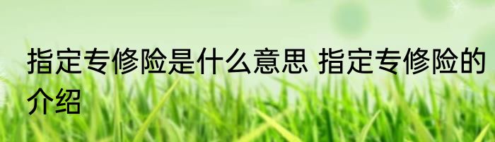 指定专修险是什么意思 指定专修险的介绍