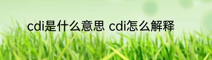 cdi是什么意思 cdi怎么解释