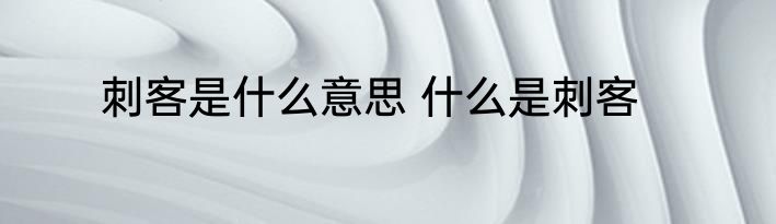 刺客是什么意思 什么是刺客