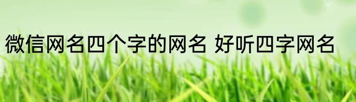 微信网名四个字的网名 好听四字网名