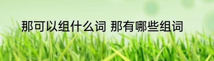 那可以组什么词 那有哪些组词