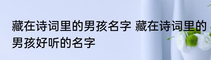 藏在诗词里的男孩名字 藏在诗词里的男孩好听的名字