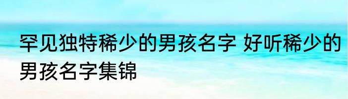 罕见独特稀少的男孩名字 好听稀少的男孩名字集锦