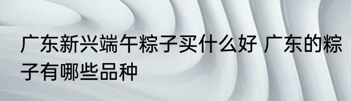 广东新兴端午粽子买什么好 广东的粽子有哪些品种